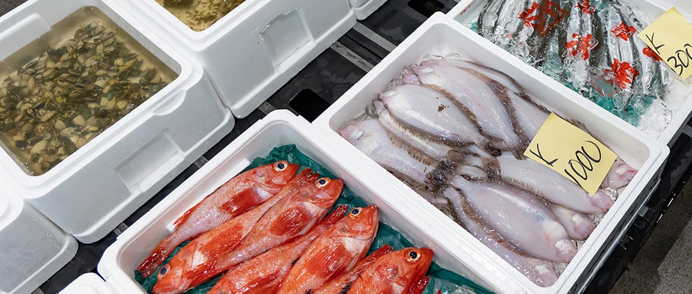 さまざまな種類の鮮魚の画像