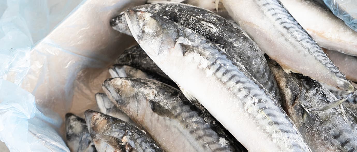 冷凍魚の画像