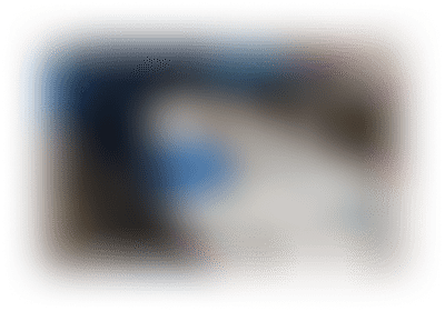 魚の価格をつけている様子の残像