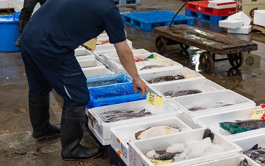 魚の価格をつけている様子