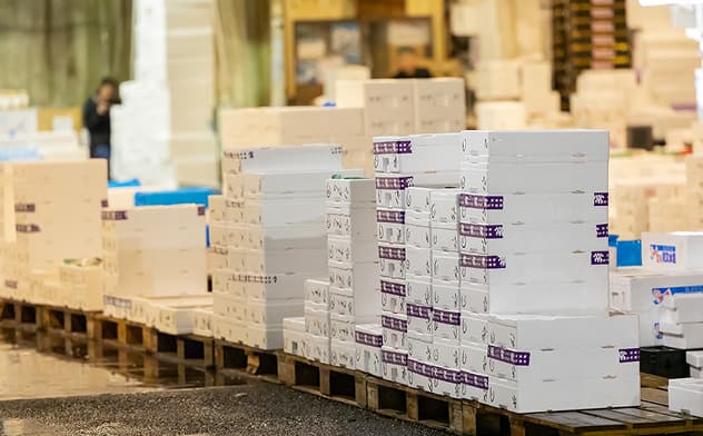 魚が箱に入れられ積まれている様子